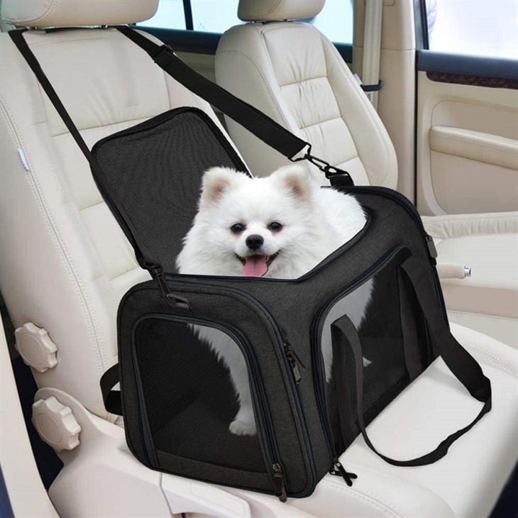 Custom Dog Carrier Bag